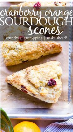 Cranberry orange sourdough scones baked, on a sheet pan. Cranberry Orange Sourdough, Discard Scones, Sourdough Discard Scones, Heavenly Dessert Recipe, Sourdough Scones, Sourdough Starter Discard, Sourdough Discard Recipes, Cranberry Orange Scones, Cranberry Scones