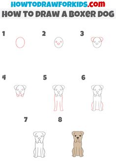 how to draw a boxer dog step by step instructions for kids and beginners in english