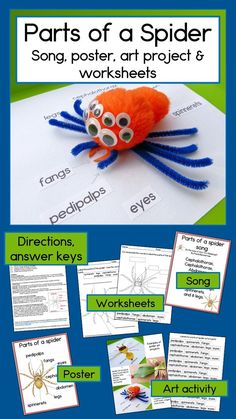 the parts of a spider song, poem, art project and worksheet for kids