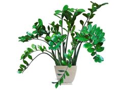 a potted plant with green leaves in it