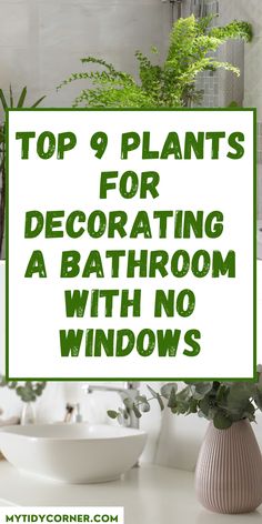 the top 9 plants for decorating a bathroom with no windows in green and white