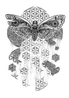 a black and white drawing of a butterfly with geometric designs on it's wings