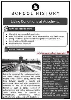 This article presented by janiyahnorma467.blogspot.com aims to provide insightful insights about holocaust statistics worksheet. It’s our hope you’ll find this article to be helpful as a guide to holocaust statistics worksheet.. #holocaust #statistics #worksheet Mermaid Coloring Pages, Historical Background, Business Courses, Kindergarten Math Worksheets, One Night, Night In