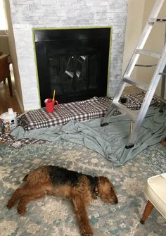 a dog laying on the floor in front of a fireplace with a ladder over it