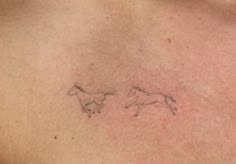 two horses drawn on the back of a man's chest