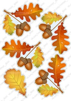 some leaves and acorns are arranged in the shape of an autumn tree branch