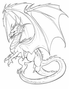 a drawing of a dragon in black and white