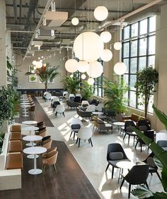 an empty restaurant with tables, chairs and potted plants on the wall in front of large windows