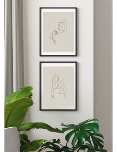 two black and white pictures hanging on the wall above a potted plant in front of a window