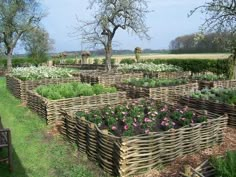 an outdoor garden with many plants and flowers in the center, surrounded by wooden fences