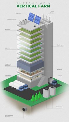 an info graphic showing the different types of buildings