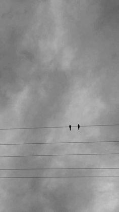 two birds sitting on top of power lines in the sky with clouds behind them and telephone wires below