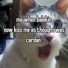 a cat with its mouth open and the caption says, me when bakein't now kiss me as though i was cardan