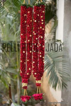 two red beads hanging from a tree in front of some palm trees and plants with the words pellila jada written on them