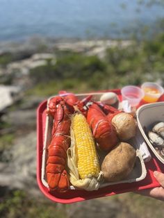 a person holding a tray filled with food on top of a cliff overlooking the ocean