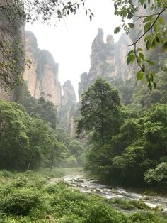 a river running through a lush green forest filled with tall mountains in the foggy sky