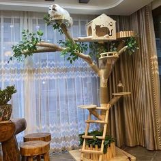 there is a cat tree in the middle of this living room, and it's made out of wood