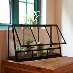 a wooden table topped with a glass case filled with potted plants next to a window