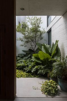 an open door leading to a lush green garden with potted plants on either side