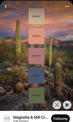 an iphone screen showing the color palettes for different plants and cactuses, including cacti