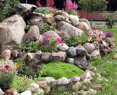 a garden with rocks and flowers in it