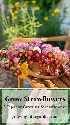 a basket filled with flowers sitting on top of a wooden bench next to some plants