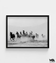 a black and white photo of horses running