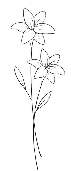 three flowers are shown in black and white, with one single flower on the left side