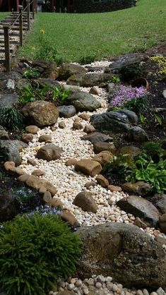 a garden with rocks and plants in the foreground, along with steps leading up to a house