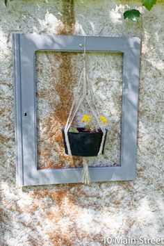 a potted plant hanging from a frame on a wall with moss growing in it