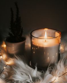 a lit candle sitting on top of a white fur covered floor next to two potted plants