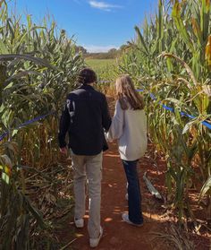 two people walking through a corn field