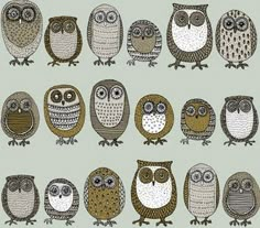 an image of many owls sitting together