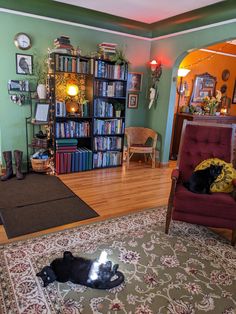 a cat laying on the floor in front of a bookshelf