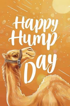 a happy hump day card with a camel on an orange background and the words, happy hump day