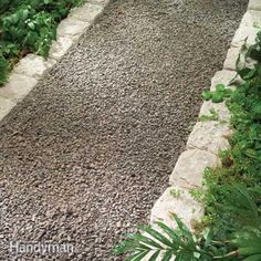 a gravel path in the middle of a garden