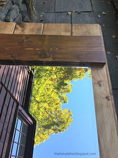 the reflection of a tree in a wooden window pane on a brick sidewalk next to a building