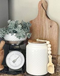 a kitchen scale, measuring spoons and potted plant sit on a counter top