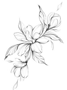 a black and white drawing of a flower