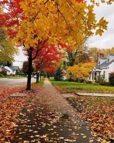 an autumn scene with leaves on the ground and houses in the background