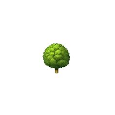 a broccoli tree is shown on a white background