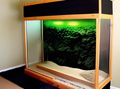 an aquarium with plants growing in it and some water on the bottom shelf next to it