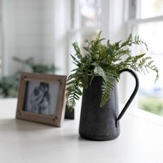 a potted plant sitting on top of a white counter next to a framed photo