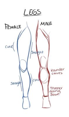 the different types of legs are shown in this diagram