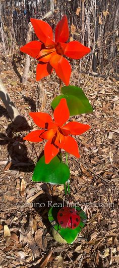 two red flowers with green leaves and a ladybug on the ground next to them