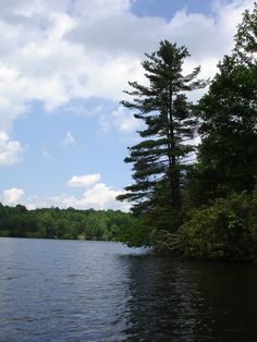 a body of water surrounded by trees on a sunny day with clouds in the sky