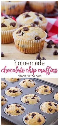 homemade chocolate chip muffins in a pan with the title overlay above it