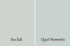 two different shades of gray paint with the words sea salt and quiet moments on them