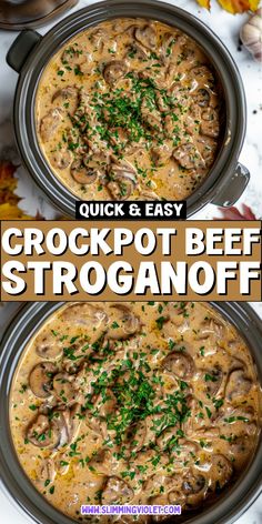 two crockpot beef stroganonoff soups in the same pot