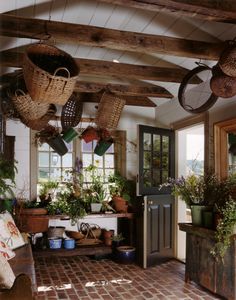 a kitchen filled with lots of potted plants and hanging baskets above the stove top